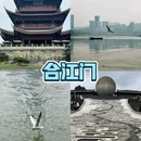 雄德餐馆(青岗丽景苑店) - 自贡市旅游 缩略图 3
