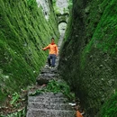 中国武夷山风景名胜区 - 南平市旅游 缩略图 1