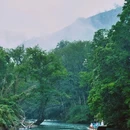中国武夷山风景名胜区 - 南平市旅游 缩略图 4