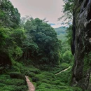 中国武夷山风景名胜区 - 南平市旅游 缩略图 9