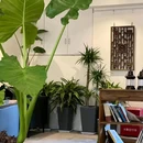 小树咖啡(中天未来方舟D15组团店) - 贵阳市旅游 缩略图 7
