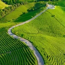 杭州乐园旅游区-杭州乐园 - 杭州市旅游 缩略图 1