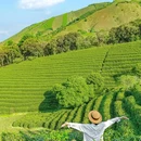 杭州乐园旅游区-杭州乐园 - 杭州市旅游 缩略图 5