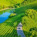 杭州乐园旅游区-杭州乐园 - 杭州市旅游 缩略图 2