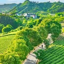 杭州乐园旅游区-杭州乐园 - 杭州市旅游 缩略图 3