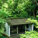 虎跑公园 - 杭州市旅游 缩略图 1