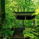虎跑公园 - 杭州市旅游 缩略图 9