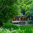 虎跑公园 - 杭州市旅游 缩略图 7