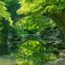 虎跑公园 - 杭州市旅游 缩略图 8