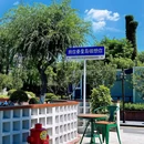 西港花园-东门 - 秦皇岛市旅游 缩略图 7