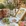 南京市·麻司mars vava Brunch&Gastronomy(鼓楼店)