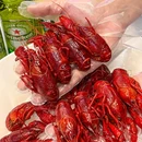 刘栋梁大排档(苏州店) - 苏州市旅游 缩略图 4