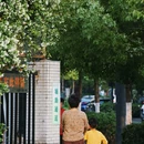 合肥市南国花园小学(滨水城校区) - 合肥市旅游 缩略图 8