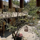 上海大观园 - 上海市旅游 缩略图 3