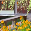 月河历史街区 - 嘉兴市旅游 缩略图 3