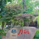 月河历史街区 - 嘉兴市旅游 缩略图 8