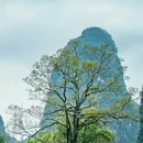 阳朔漓江景区 - 桂林市旅游 缩略图 3