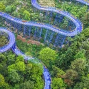 天子地山野乐园 - 杭州市旅游 缩略图 2