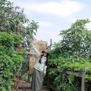 紫霞山 - 成都市旅游 缩略图 3