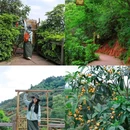 紫霞山 - 成都市旅游 缩略图 2