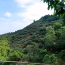 紫霞山 - 成都市旅游 缩略图 9