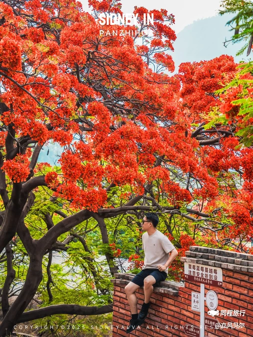 春苗巷 - 攀枝花市旅游