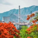 春苗巷 - 攀枝花市旅游 缩略图 7
