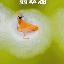 茶卡盐湖景区 - 海西蒙古族藏族自治州旅游 缩略图 2