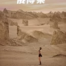 茶卡盐湖景区 - 海西蒙古族藏族自治州旅游 缩略图 9