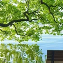 孤山路 - 杭州市旅游 缩略图 7
