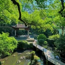 孤山路 - 杭州市旅游 缩略图 6