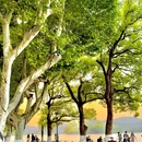 孤山路 - 杭州市旅游 缩略图 8