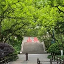 孤山路 - 杭州市旅游 缩略图 9