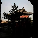 应县木塔 - 朔州市旅游 缩略图 1