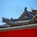 应县木塔 - 朔州市旅游 缩略图 2