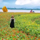 下渚湖·奇幻谷 - 湖州市旅游 缩略图 9
