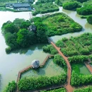 下渚湖·奇幻谷 - 湖州市旅游 缩略图 8