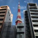 东京 - 日本旅游 缩略图 5