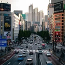 东京 - 日本旅游 缩略图 2