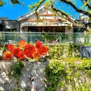 古道斯存 - 北京市旅游 缩略图 9