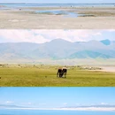 青海湖 - 海北藏族自治州旅游 缩略图 3