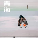 青海湖 - 海北藏族自治州旅游 缩略图 1