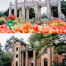 中山大学(广州校区南校园) - 广州市旅游 缩略图 1