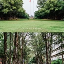 中山大学(广州校区南校园) - 广州市旅游 缩略图 8