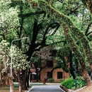 中山大学(广州校区南校园) - 广州市旅游 缩略图 9