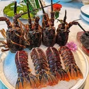 初色家宴·海鲜姿造日式放题 - 北京市旅游 缩略图 5