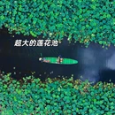 抚仙湖公园 - 玉溪市旅游 缩略图 4