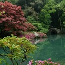 九溪烟树 - 杭州市旅游 缩略图 1