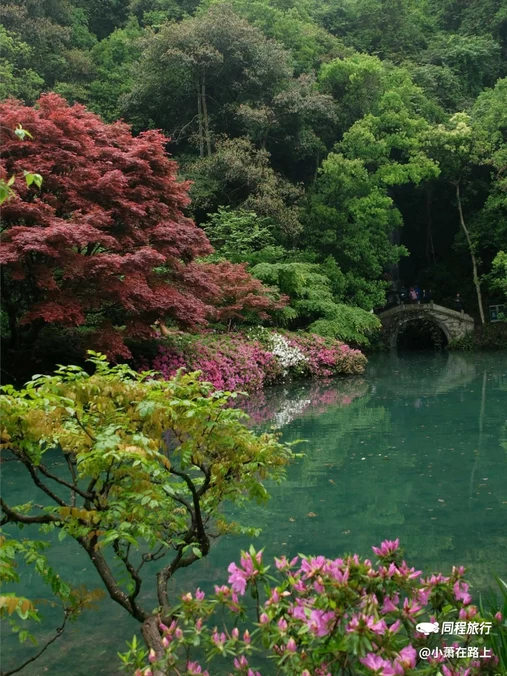 九溪烟树 - 杭州市旅游