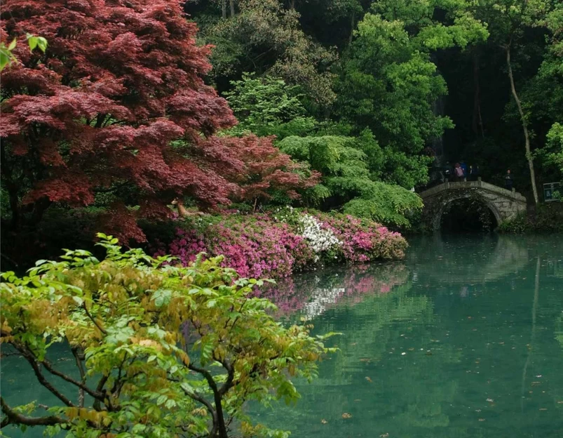 九溪烟树 - 杭州市旅游 1